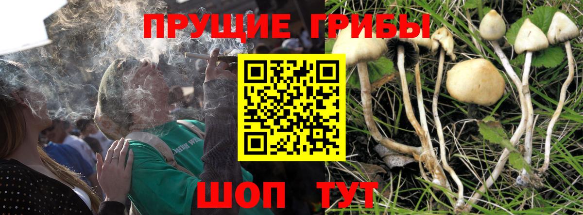 Галлюциногенные грибы Magic Shrooms  Вход с VPN  Шарыпово 